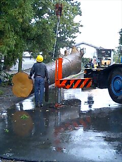 寺の用材となるためにトラックへ運ばれる幹