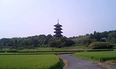国分寺をのぞむ