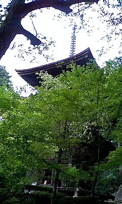 重文の三重の塔