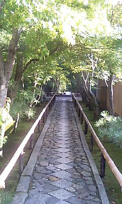 光悦寺の参道