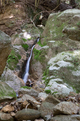 油日山登山_190513_0071.jpg