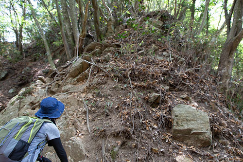 油日山登山_190513_0034.jpg