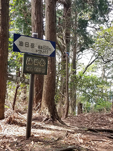 20190512_110654.jpg