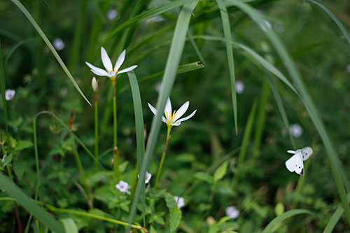 _MG_9159.jpg