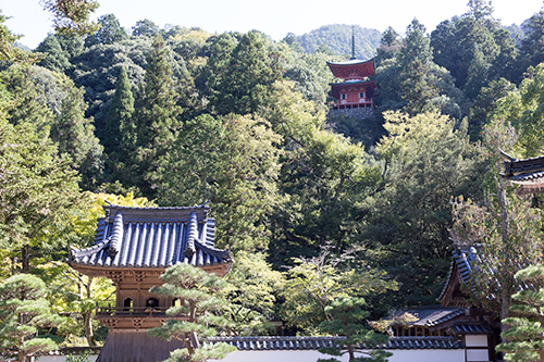 臨黄合議所移動理事会 於 大本山佛通寺 ブログ 禅 Blog Zen