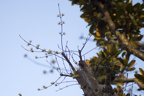 blog_MG_1819.jpg