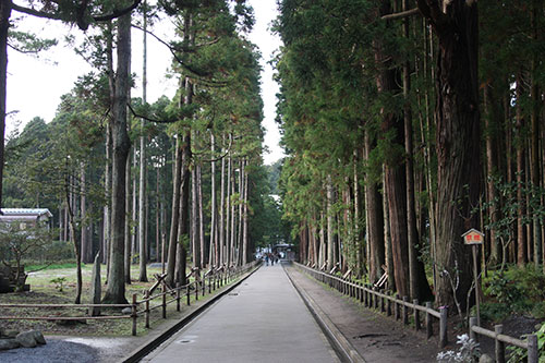 瑞巌寺参道