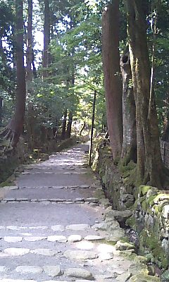 苔むす道を、本堂へ