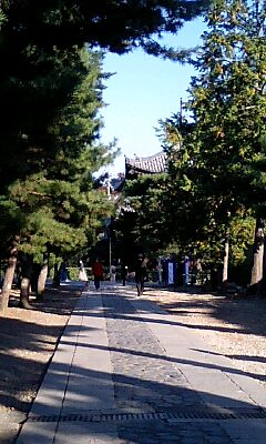 紫野　大徳寺