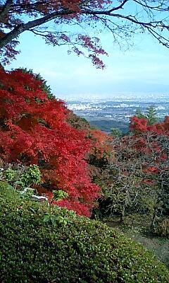 山寺だからこその眺め