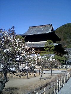 向嶽寺も梅ざかり