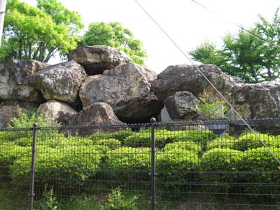 写真ではその巨大さが充分伝えられないことが残念
