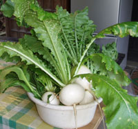 東慶寺自家製の野菜