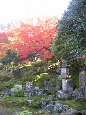 秋の霊鑑寺