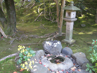 霊鑑寺　庭