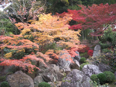 東方丈_萬福寺