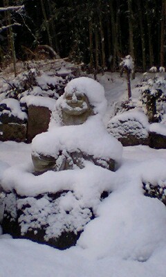 達磨さんも雪に震える