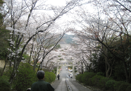 宗忠神社