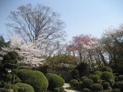 円照寺