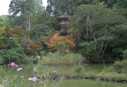 五重塔_浄瑠璃寺