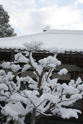 自坊の雪景色