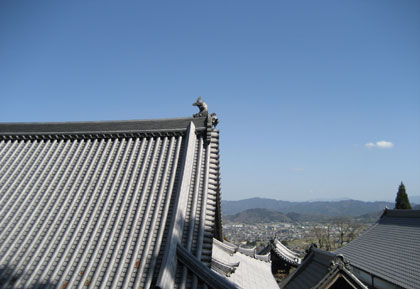 本堂裏からの風景