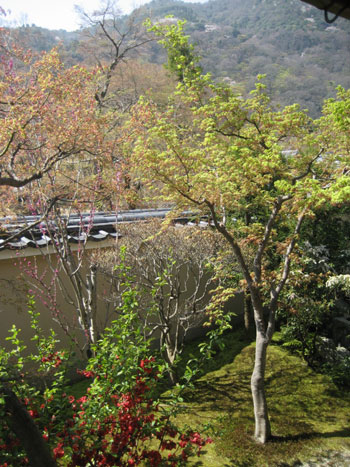 借景の庭