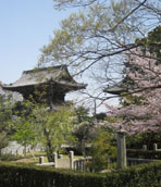 清涼寺_嵯峨