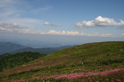 自然そのものの空・雲・草木