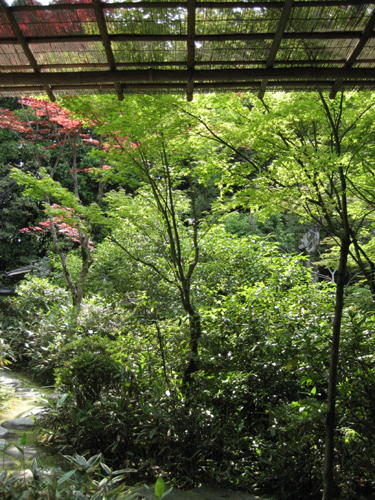 大徳寺　高桐院