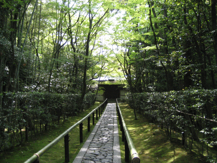 大徳寺　高桐院