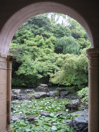 大山崎山荘美術館の睡蓮