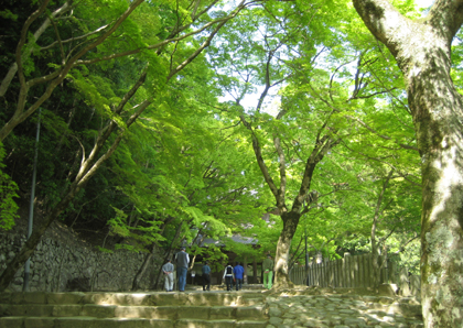 禅と文化の旅_永源寺