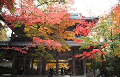 永源寺の三門