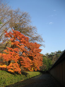 0912gyoen2.jpg