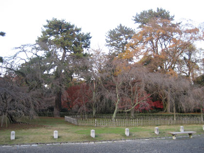 0912gyoen6.jpg