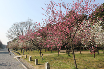 110401-1.jpg