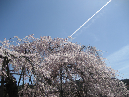 110419-2.jpg