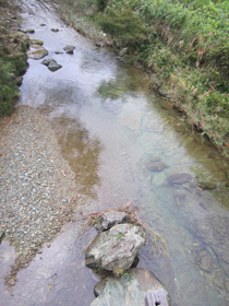 澄んだ水 111208-4.jpg