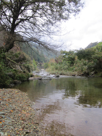 原風景 111208-5.jpg