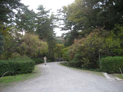 館へと向かう道