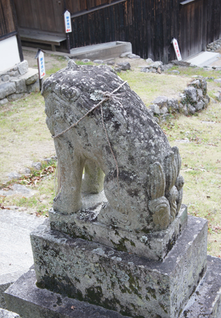 狛犬 120111-4.jpg