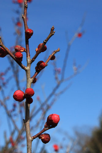 2011_02_19_971.jpg