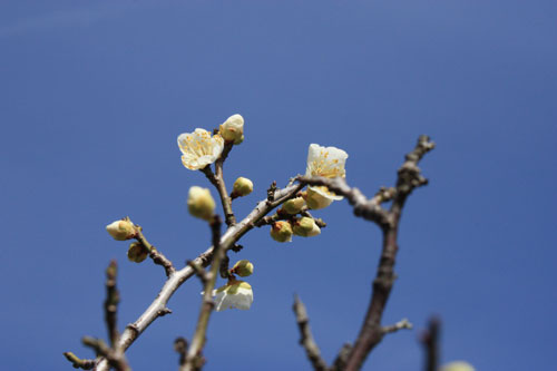 2011_02_19_974.jpg