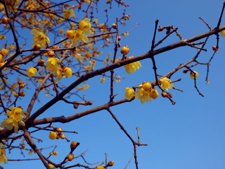 20120203-1.jpg