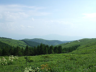 霧ヶ峰高原