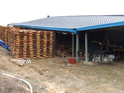 DSCF1571.JPG