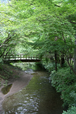 亀の井別荘付近にて