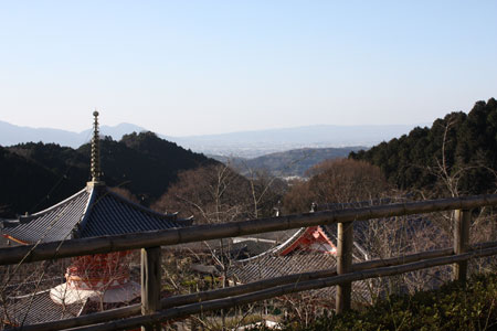 奈良盆地を見下ろす