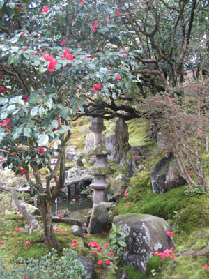 庭園